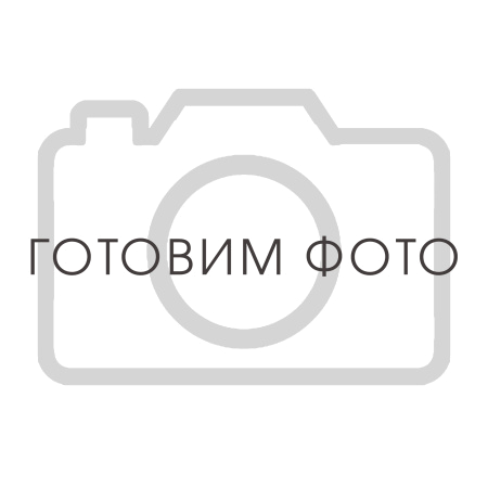 4061001301 Фильтр сепаратор